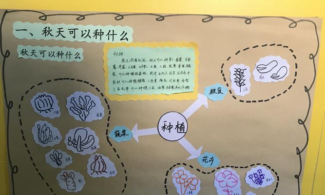 棒棒菜的种植方法和时间详解（打造丰收的棒棒菜园地）