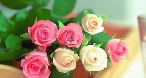 盛开的秘密——以代表暗恋的花为主题（探寻暗恋的花海中的真爱）
