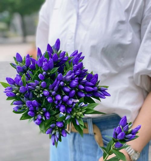 忧伤之花（以代表忧伤的花为主题）