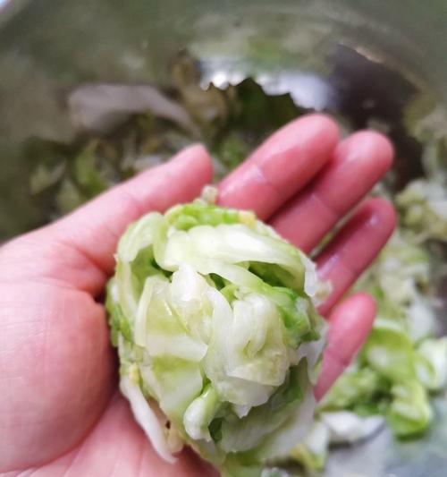包菜的冷冻保存方法（如何正确保存包菜以保持其新鲜度）