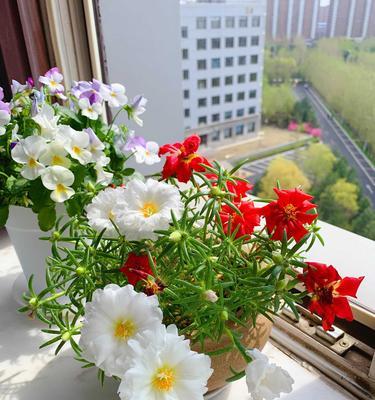 友谊之花（探索友谊与花卉之美）