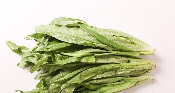 解析包菜的性质——热性还是凉性（探讨包菜对身体的影响及应对之策）
