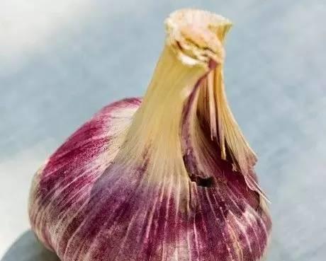 如何留种包菜（包菜种子的采集和处理方法）