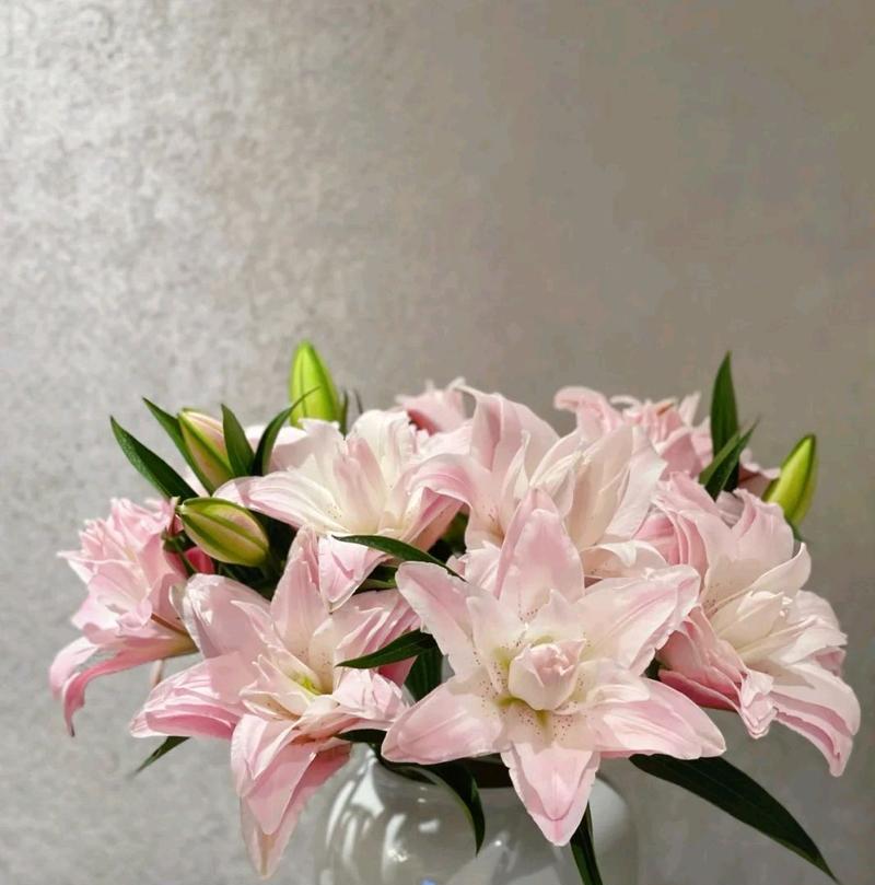 百合花（揭秘粉百合的花语与寓意）