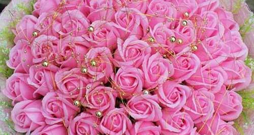 粉红色玫瑰花的花语与寓意（探寻玫瑰花海中的浪漫与温柔）