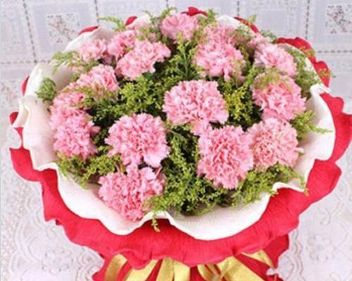 康乃馨花语（康乃馨花语的浪漫寓意及其象征的爱情）