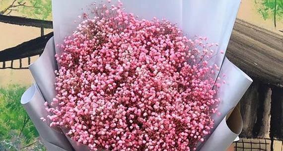 粉色满天星的花语（探寻花语世界中的浪漫与温柔）