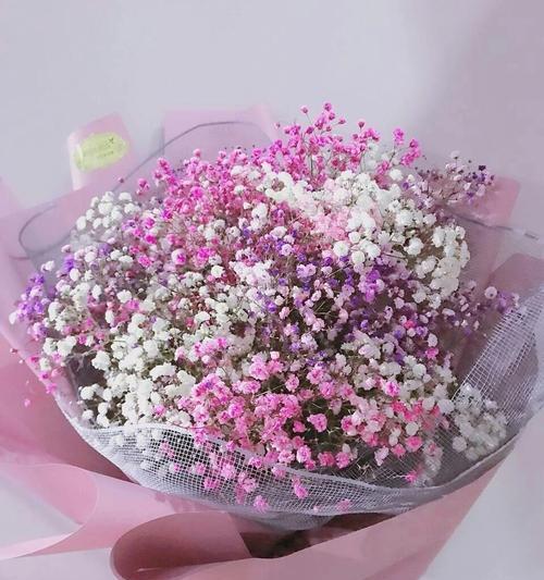 粉色满天星的花语（甜蜜满满的爱意）
