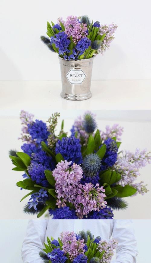 风信子花语与传说故事（风信子花语的意义）