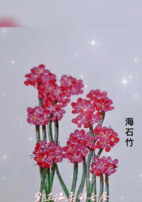 以海石竹的花语为主题的文章（海石竹之美与意义）