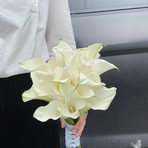 海芋传说（蜜蜂舞曲中的秘密）