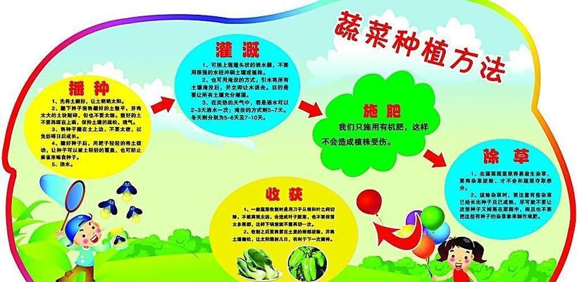 北方红菜苔种植的时间和方法（打造丰收的技巧与实践）