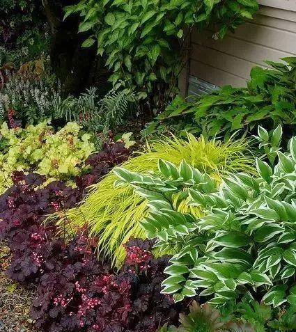北方庭院的花卉种植指南（打造四季芬芳）