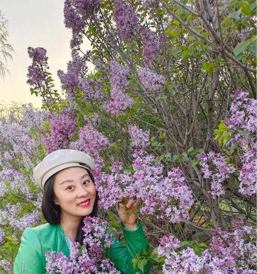 红丁香的象征寓意（红丁香的美丽与寓意）