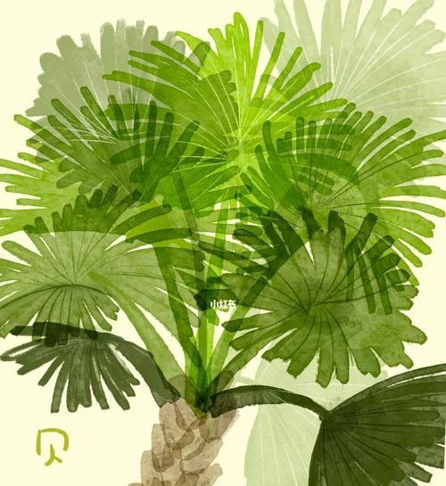 探秘神奇的贝叶植物（了解贝叶的传说与功效）