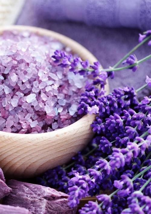 卡萨布兰卡花语（一朵花背后的深情与意义）