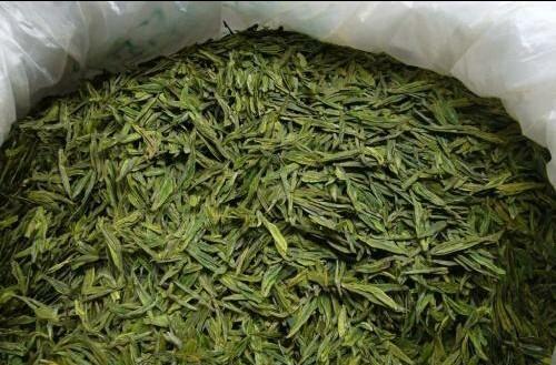 废茶叶的再利用——肥料制作（从垃圾到宝藏）