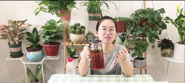 废茶叶水的妙用（废茶叶水可以浇花吗）