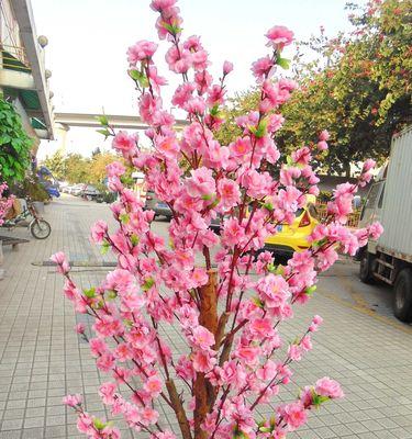 探寻粉色世界——粉色树的妙趣（从花海到童话）