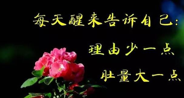 愿你开心如花（用郁金香传递幸福快乐的花语之旅）