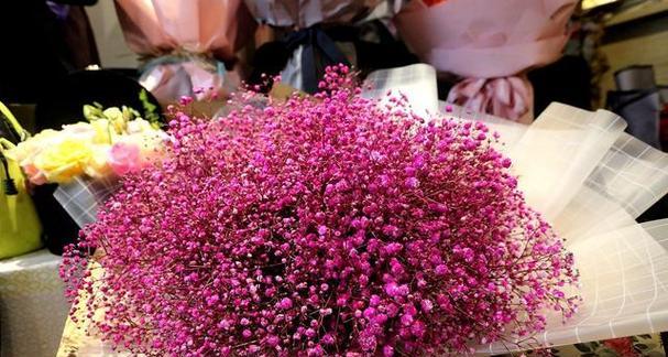 粉色满天星花语与寓意（解析花语）