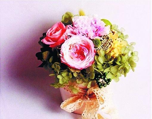 永生之花-寿命无尽的花朵（探索花朵中永生的奥秘）