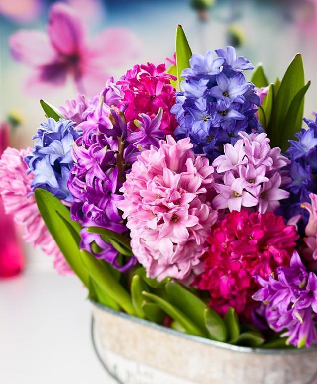 真诚之花（探寻真诚的力量）