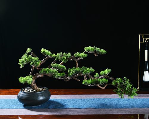 松柏代表生肖——解读木相生肖的个性特征（从松柏看生肖的象征意义与性格特点）