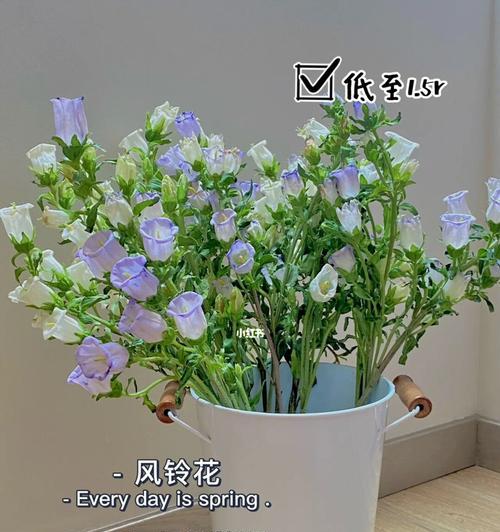 风铃花醒花秘籍（教你如何让风铃花绽放更美的花朵）