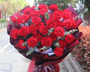 花语浪漫，百合康乃馨情人草玫瑰之寓意（传递真爱）