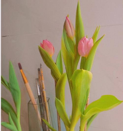 郁金香25朵花语（郁金香的花语及其象征意义）