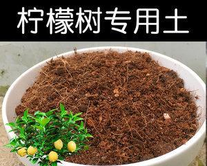 枫树的配土方法及种植土壤（打造适合枫树生长的土壤）