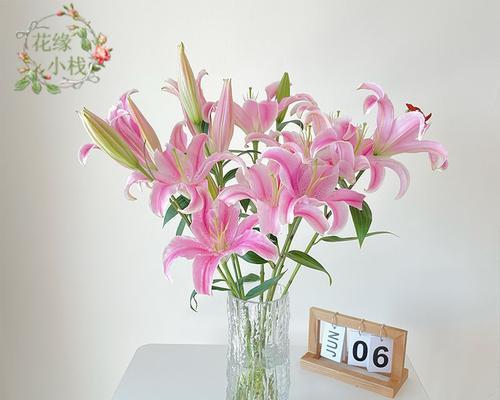 百合花的寓意与适合送礼的对象（传递美好祝福的花语与人群）
