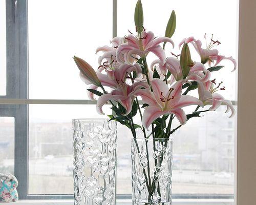 百合花与富贵竹的搭配意义（相互映衬）