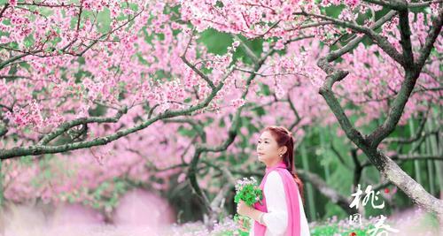 白色桃花的花语（桃花盛开）