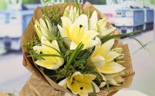 百合花花语传说（美丽）