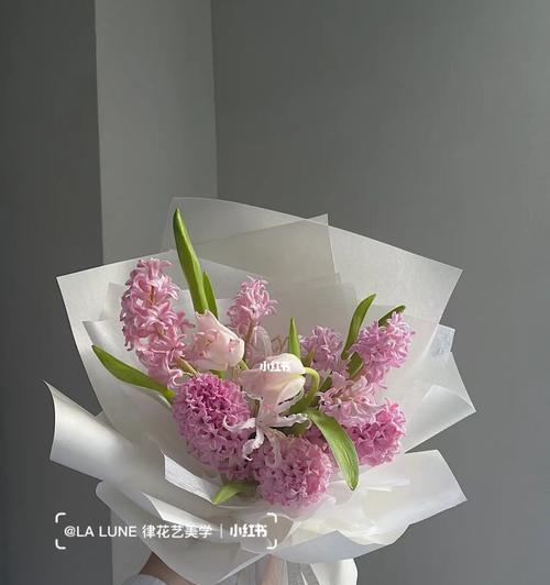 以粉风信子的花语是什么（了解粉风信子的花语）