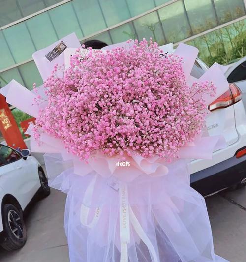 粉色满天星花语（花开如梦）
