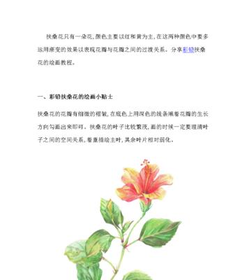 如何让扶桑花安全度过寒冬（冬季养护方法）