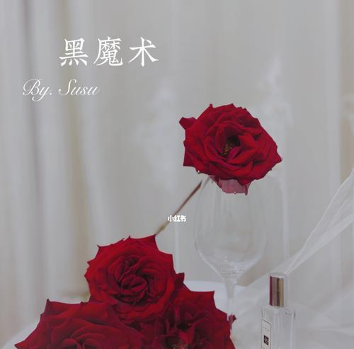 黑魔术玫瑰花语的神秘魅力（揭开黑魔术玫瑰背后的奥秘）