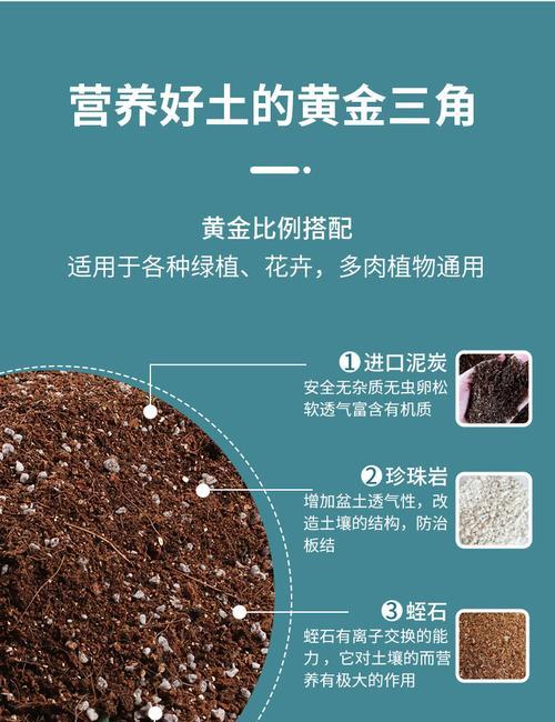佛手掌之土配法（如何选配适合佛手掌的土壤）