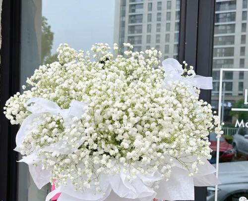 花白色满天星的寓意与意义（浪漫而纯洁）