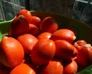 探秘佛心果，品尝健康美味（了解佛心果的历史与品种）