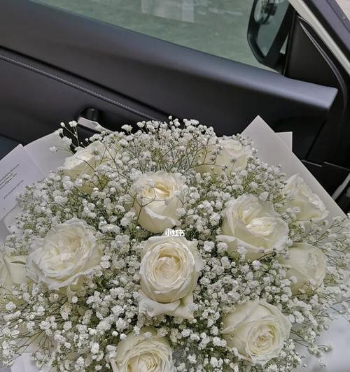花白色满天星的寓意与意义（浪漫而纯洁）