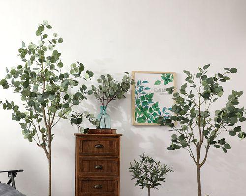 服装店内放植物，招财神奇（如何选择和摆放植物）