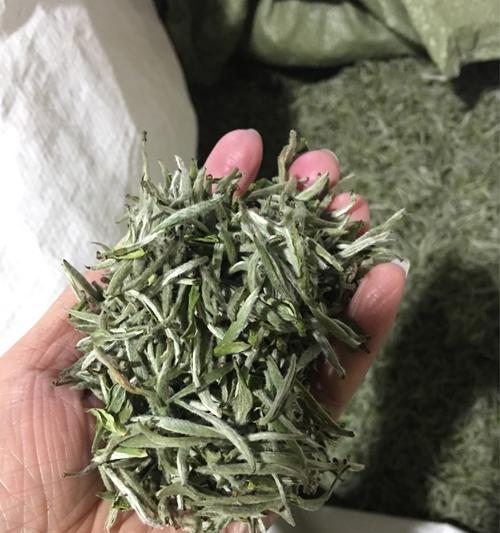 福鼎白茶保存方法与时间（如何保存好福鼎白茶）