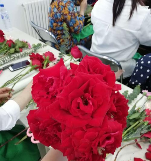 卡罗拉玫瑰花语（卡罗拉玫瑰花语的五种含义及应用场合）
