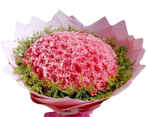 康乃馨花的含义（绽放的美丽）