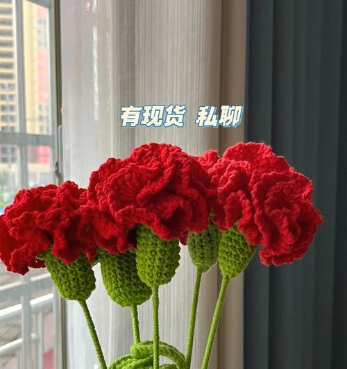 康乃馨花的含义（绽放的美丽）