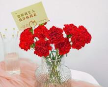 康乃馨花的意义及文化背景（解读康乃馨花的象征与寓意）